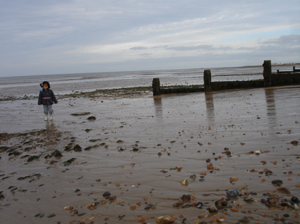 25 Oct Whitstable 14.jpg